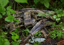 VERWANDLUNGEN ZOO gelaendes des ehemaligen huerther zoos
