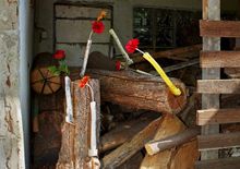 VERWANDLUNGEN ZOO gelaendes des ehemaligen huerther zoos