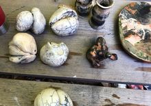 Raku Workshop 2022