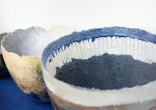 RAKU brand im lidl einkaufswagen