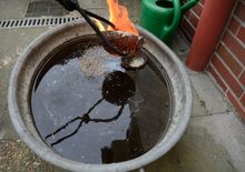 RAKU brand im lidl einkaufswagen