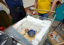 RAKU brand im lidl einkaufswagen