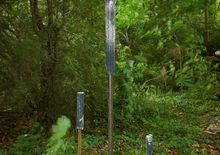 VERWANDLUNGEN ZOO gelaendes des ehemaligen huerther zoos