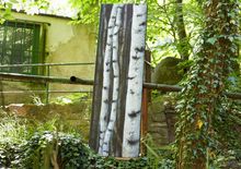 VERWANDLUNGEN ZOO gelaendes des ehemaligen huerther zoos